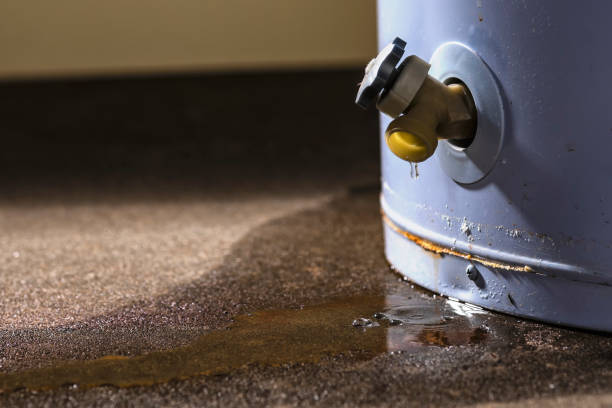 Best Water damage restoration near me  in Valhalla, NY