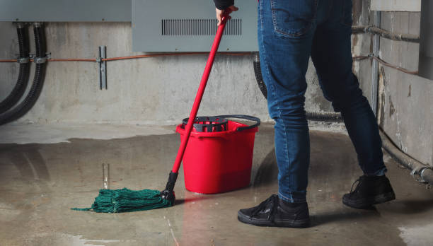 Best Water damage mitigation services  in Valhalla, NY