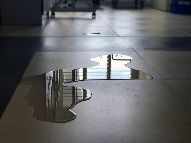 Best Local water damage restoration  in Valhalla, NY