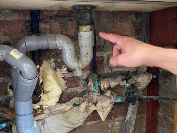 Best Mold removal after water damage  in Valhalla, NY