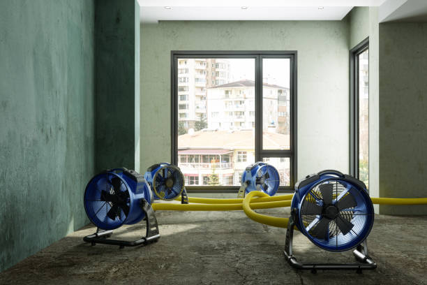 Best Water damage restoration specialists  in Valhalla, NY